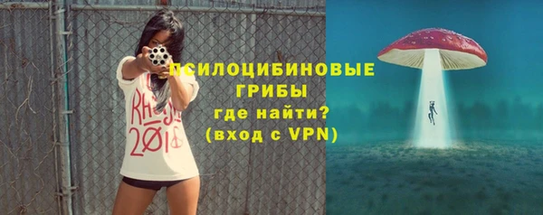круглые Новодвинск