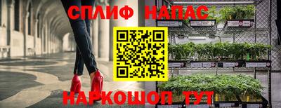молекула духа Волжский