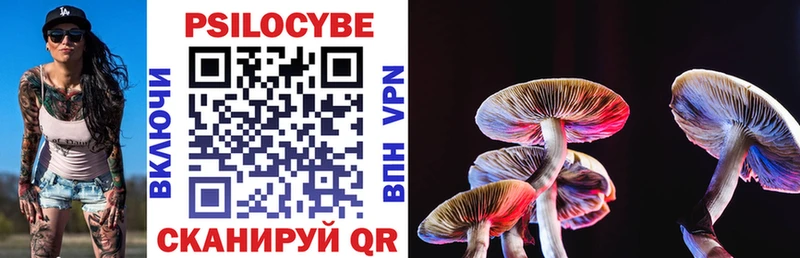 купить закладку Димитровград Псилоцибиновые грибы Psilocybine cubensis