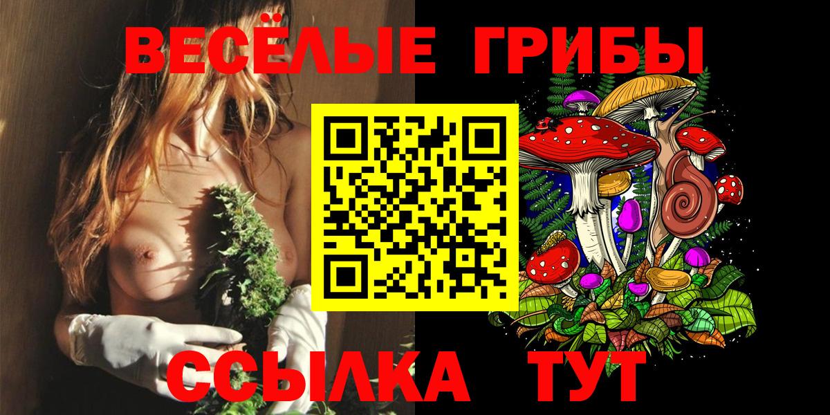 Галлюциногенные грибы MAGIC MUSHROOMS  Галлюциногенные грибы ЛСД  Димитровград 