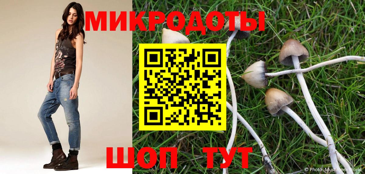 купить наркотики сайты  Псилоцибиновые грибы Psilocybine cubensis  Вход с VPN  Димитровград 