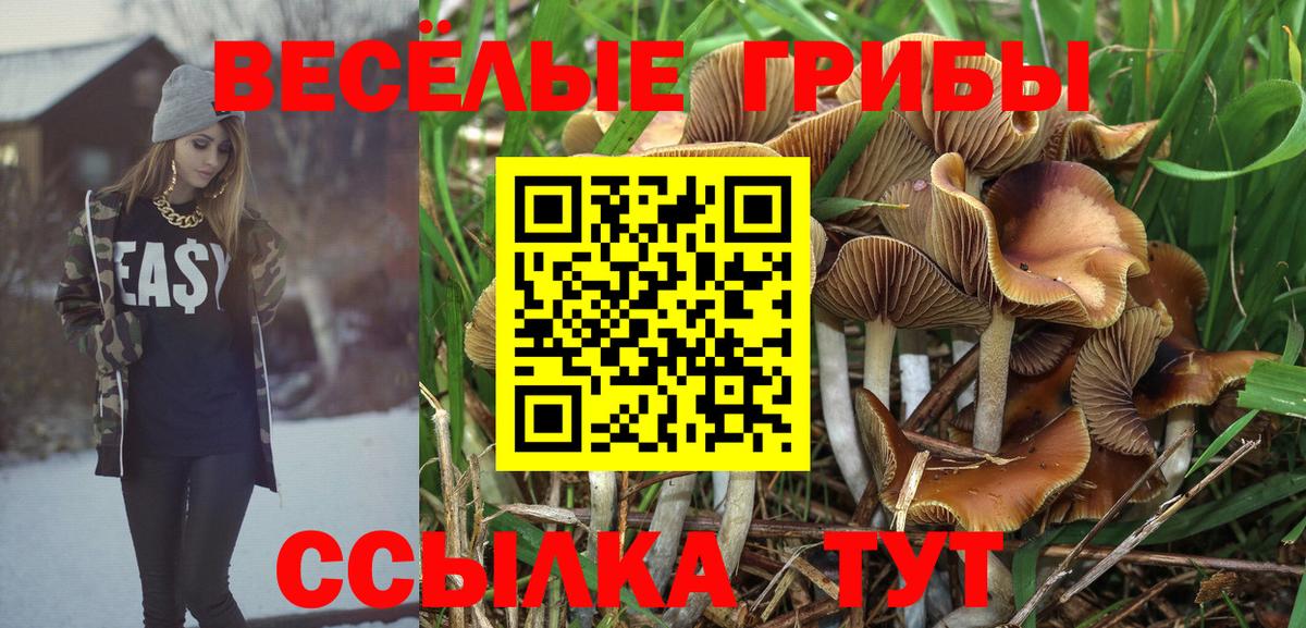 Галлюциногенные грибы Magic Shrooms Димитровград