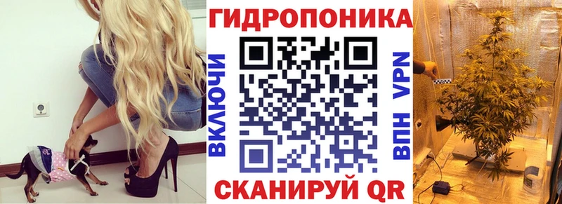 МАРИХУАНА сатива KRAKEN вход Димитровград
