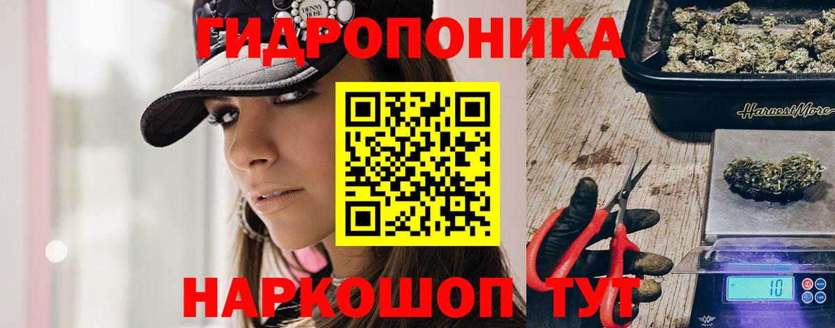 Конопля план Димитровград